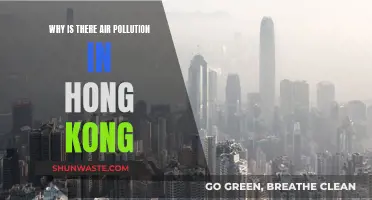 Hong Kong's Air Pollution: Causes and Concerns