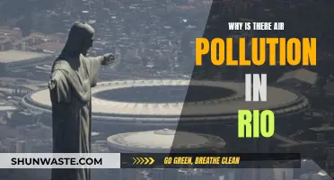 Rio's Air Pollution: Causes and Concerns