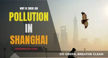 Shanghai's Air Pollution: Causes and Concerns