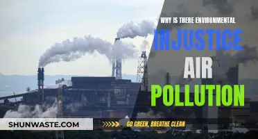 Environmental Racism: Air Pollution's Injustice