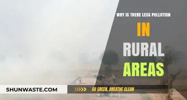 Rural Air Quality: Exploring Lower Pollution Levels in Countryside Regions