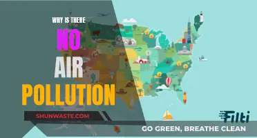 The Clean Air Mystery: Why No Air Pollution?
