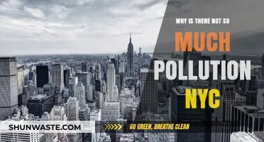 NYC's Clean Air: Uncovering the Secrets Behind Its Low Pollution Levels