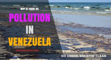 Venezuela's Oil Pollution Crisis: Causes, Impacts, and Urgent Solutions