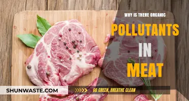 Organic Pollutants in Meat: Sources, Risks, and Prevention Strategies