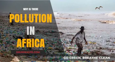 Africa's Pollution Crisis: Causes, Impacts, and Urgent Solutions Needed