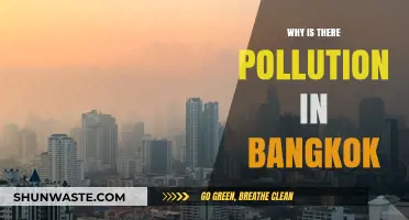Unveiling Bangkok's Pollution Crisis: Causes, Impacts, and Solutions