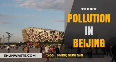 Beijing's Air Pollution Crisis: Causes and Consequences Explained