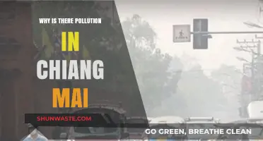 Chiang Mai's Pollution Crisis: Causes, Impacts, and Solutions Explained