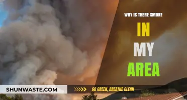 Unexpected Smoke: What's the Cause?