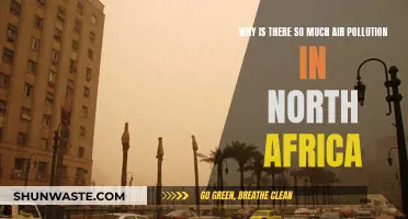 North Africa's Air Pollution Crisis: Causes and Concerns