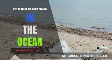 Plastic Pollution: Ocean's Perilous Plastic Problem