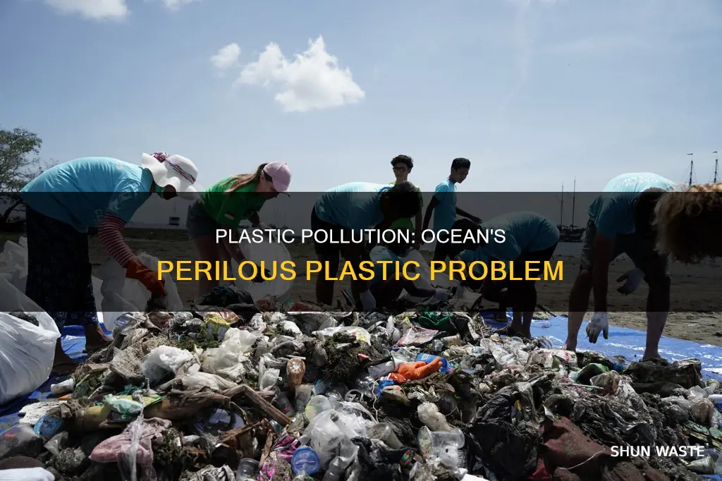 why is there so much plastic in the ocean