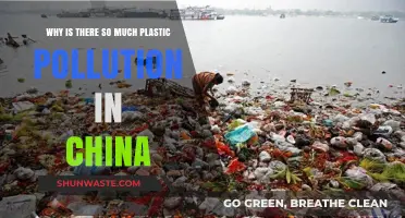 China's Plastic Crisis: Unraveling the Causes of Widespread Pollution