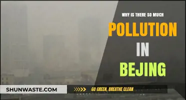 Beijing's Pollution Crisis: Causes, Impacts, and Urgent Solutions Needed