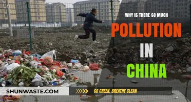 China's Pollution Crisis: Causes, Impacts, and Urgent Solutions Needed