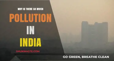 India's Pollution Crisis: Causes, Consequences, and Urgent Solutions Needed