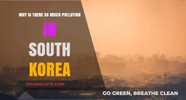 South Korea's Pollution Crisis: Causes and Urgent Solutions Needed