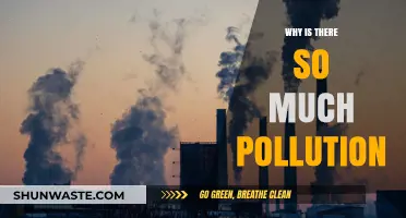 Unraveling the Causes of Rampant Pollution: A Global Crisis Explained