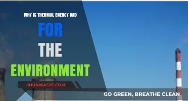 Thermal Energy's Environmental Impact: Harmful Effects and Sustainable Alternatives