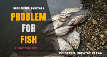 Thermal Pollution's Impact: How Warmer Waters Threaten Fish Survival