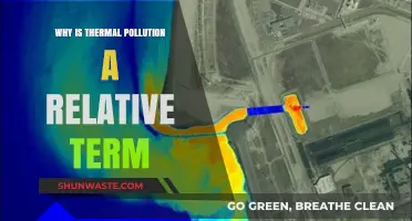 Thermal Pollution: A Context-Dependent Environmental Concern Explained