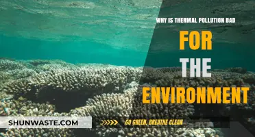 Thermal Pollution's Devastating Impact on Ecosystems and Environmental Health