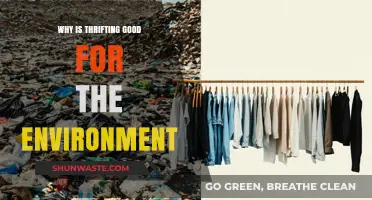 Sustainable Style: How Thrifting Reduces Waste and Saves the Planet