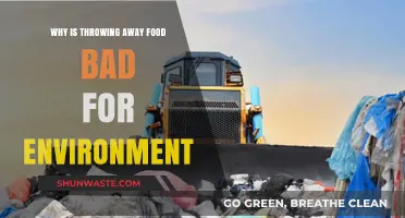Wasted Food, Wasted Planet: The Environmental Impact of Food Waste