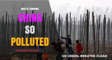 Tianying, China's Pollution Crisis: Causes and Environmental Impact Explained