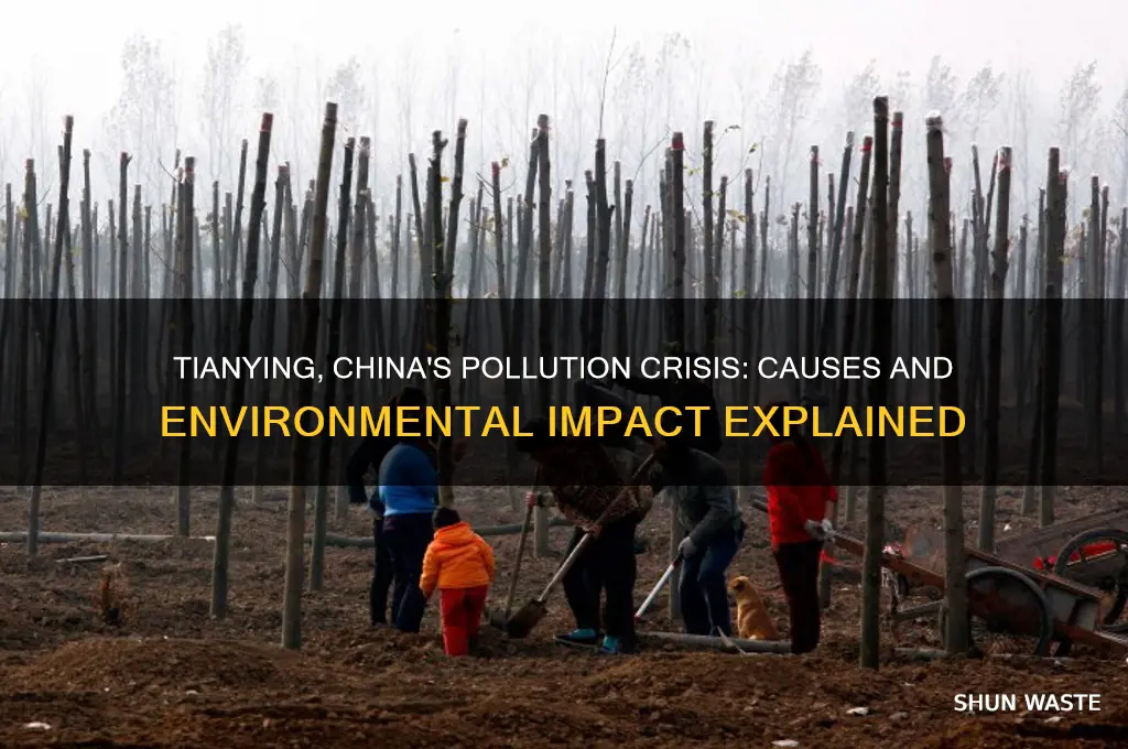 why is tianying china so polluted