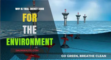 Tidal Energy: A Sustainable, Eco-Friendly Power Source for Our Planet