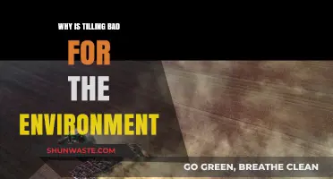 Tilling's Environmental Impact: Soil Degradation, Carbon Loss, and Ecosystem Disruption