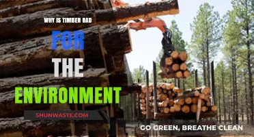 Timber's Environmental Impact: Deforestation, Carbon Emissions, and Ecosystem Loss Explained