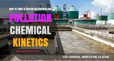 Time's Role in Chemical Kinetics: Key to Pollution Control Strategies