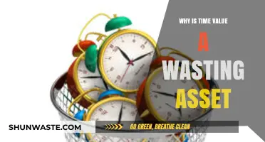 The Elusive Nature of Time: Why It's a Wasting Asset