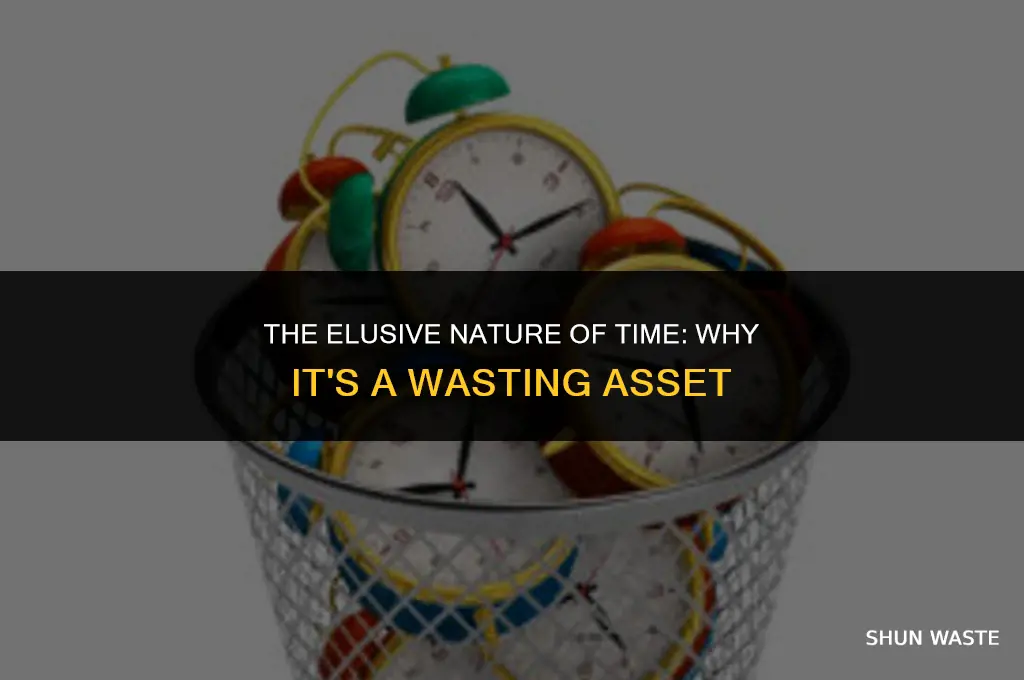 why is time value a wasting asset