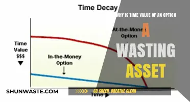 Decoding the Ephemeral Nature of Time Value in Options Trading