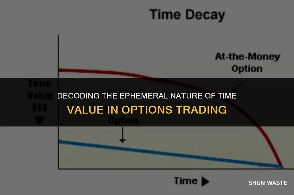 why is time value of an option a wasting asset