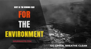 Tin Mining's Environmental Impact: Destruction, Pollution, and Ecosystem Loss Explained