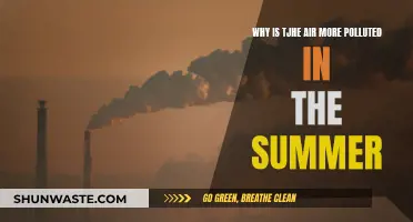 Summer Smog: Why Warmer Air Means More Pollution