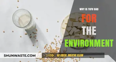 Tofu's Environmental Impact: Uncovering the Hidden Costs of Soy Production
