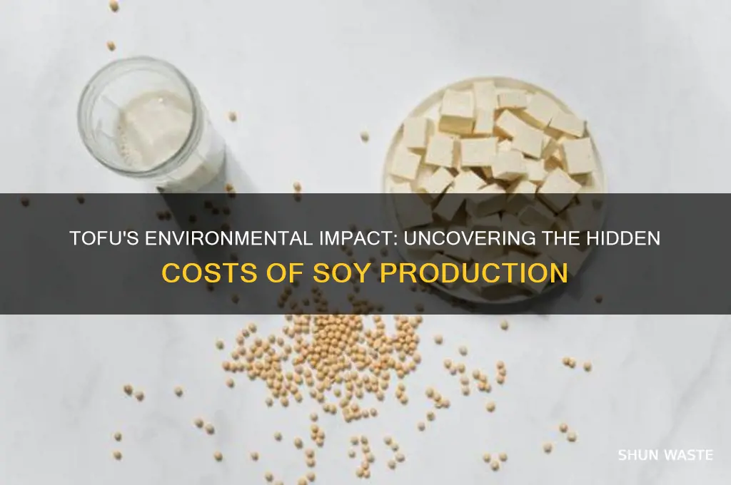 why is tofu bad for the environment