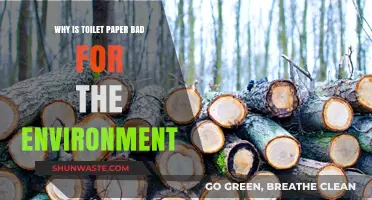 The Hidden Environmental Cost of Toilet Paper: A Sustainable Alternative