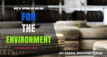 Topping Off Gas: Hidden Environmental Costs of Overfilling Tanks