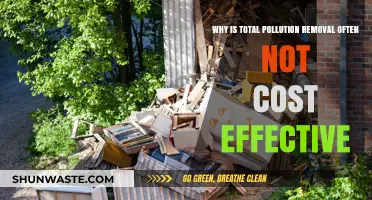 Total Pollution Removal: Why It’s Rarely Cost-Effective for Industries