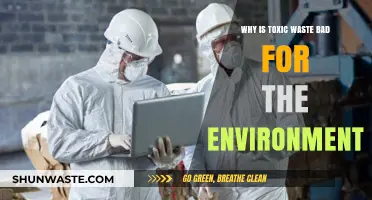Toxic Waste's Devastating Impact: Harming Ecosystems and Threatening Our Planet