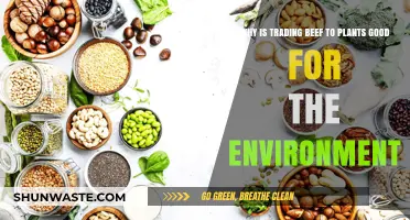 Trading Beef for Plants: A Sustainable Choice for Our Planet