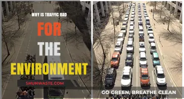 Traffic's Environmental Toll: Pollution, Carbon Emissions, and Ecosystem Damage Explained