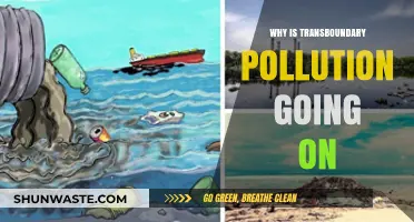 Transboundary Pollution Persists: Causes, Challenges, and Global Consequences Explained